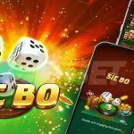 FAQ – Những Thắc Mắc Thường Gặp Khi Chơi Sicbo Tại sv88
